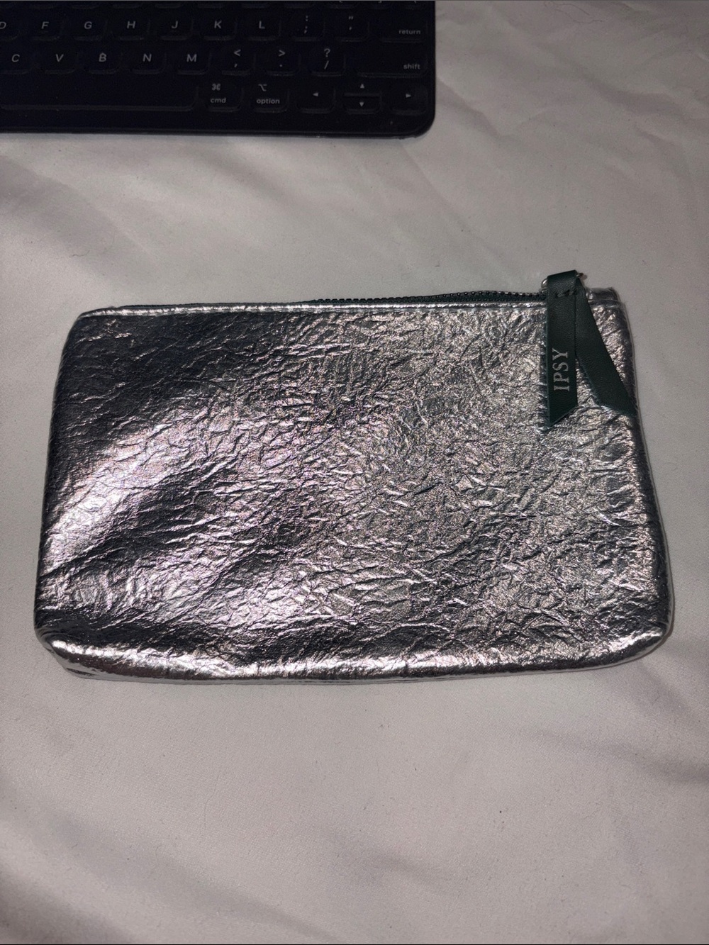 ipsy Silver Makeup Pouch with Green Zipper Pull